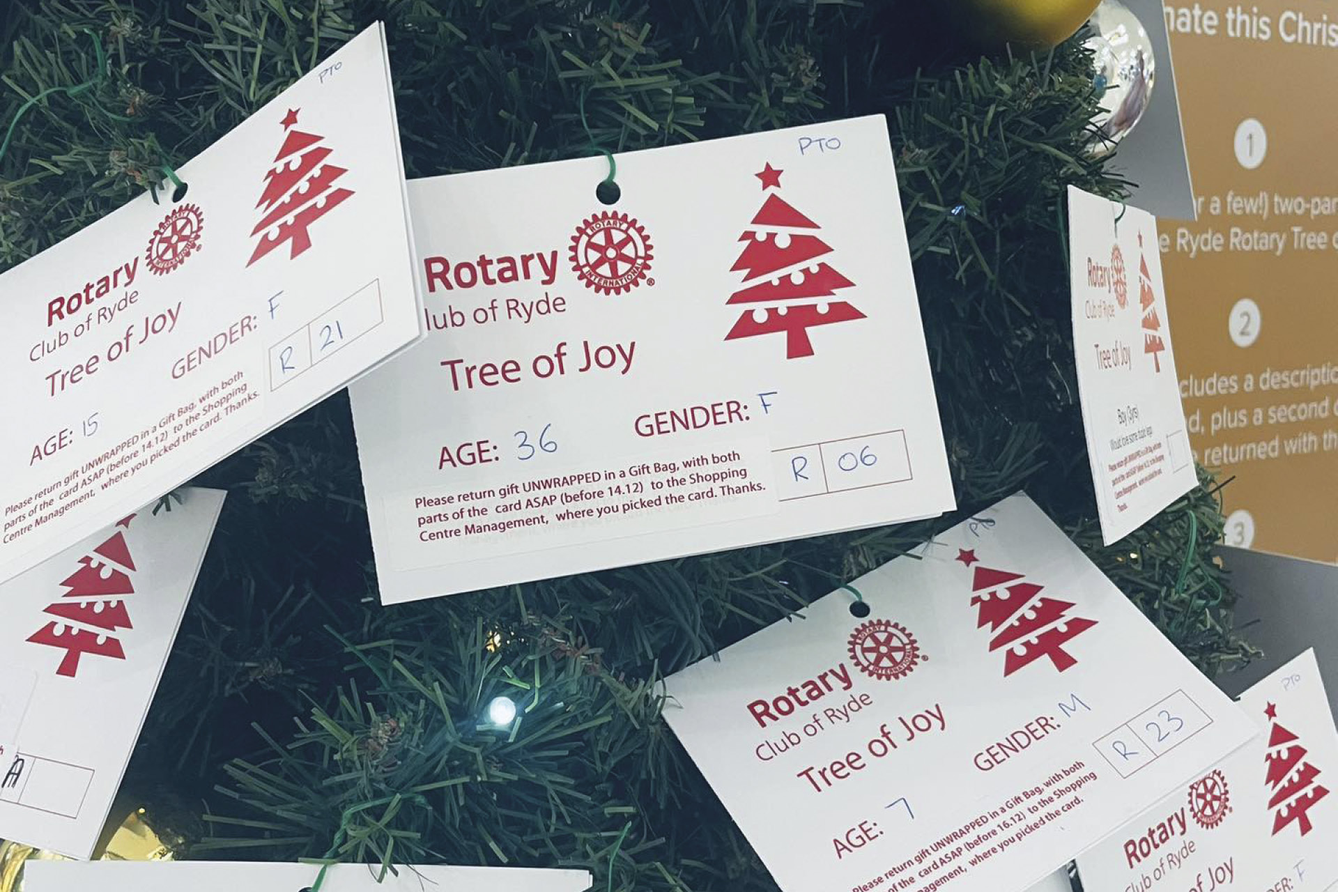 The Rotary Club of Ryde’sTrees of Joyare up for 2024!